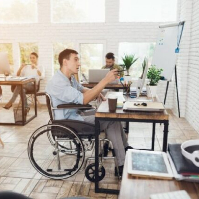 Απασχόληση των φύλων και των ατόμων με αναπηρία