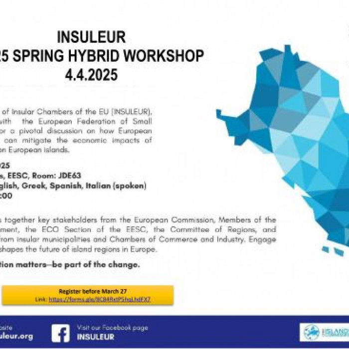 Υβριδικό εργαστήριο που διοργανώθηκε από το Δίκτυο των Νησιωτικών Εμπορικών και Βιομηχανικών Επιμελητηρίων της ΕΕ (INSULEUR)