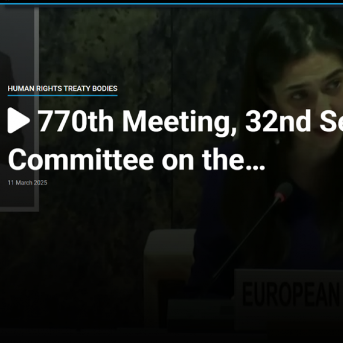 Επιτροπή των Ηνωμένων Εθνών για τα Δικαιώματα των Ατόμων με Αναπηρία