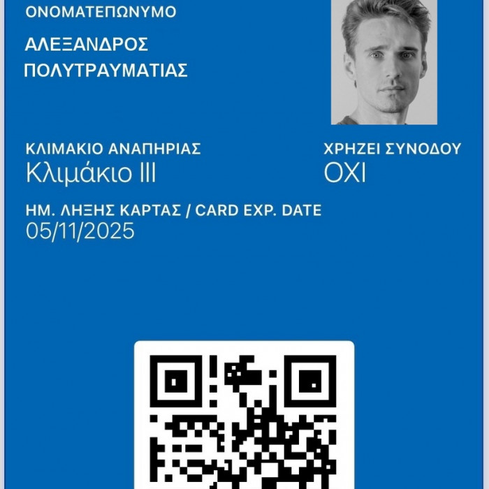 Ευρωπαϊκή κάρτα αναπηρίας