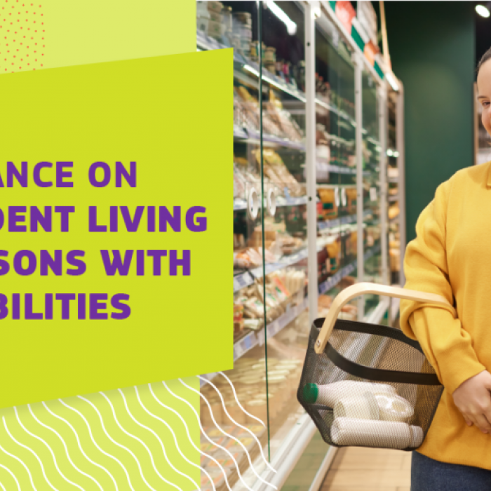 Κατευθυντήριες οδηγίες σχετικά με την ανεξάρτητη διαβίωση και τη συμπερίληψη στην κοινότητα των ατόμων με αναπηρία στο πλαίσιο της χρηματοδότησης της ΕΕ