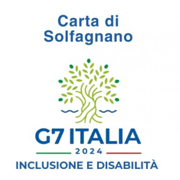 Διακήρυξη Solfagnano