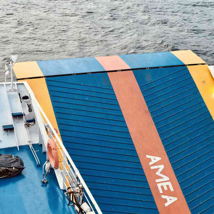 Δικαιώματα των επιβατών με αναπηρία των επιβατηγών πλοίων