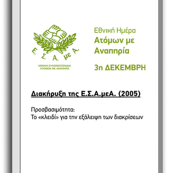 Διακήρυξη 2005