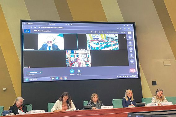 Ομιλία Ι. Βαρδακαστάνη στο Συμβούλιο της Ευρώπης για τις οικογένειες των ατόμων με αναπηρία